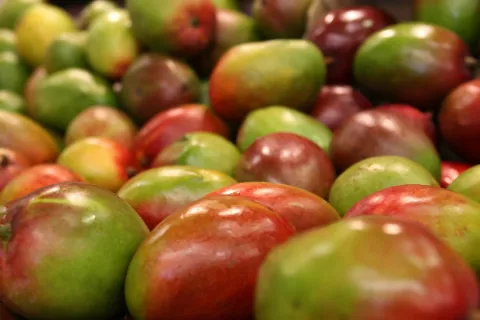 owoc mango