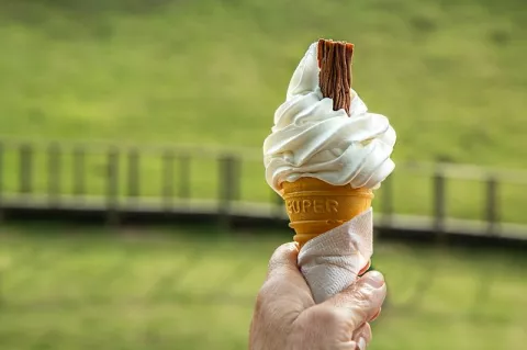 lody miękkie