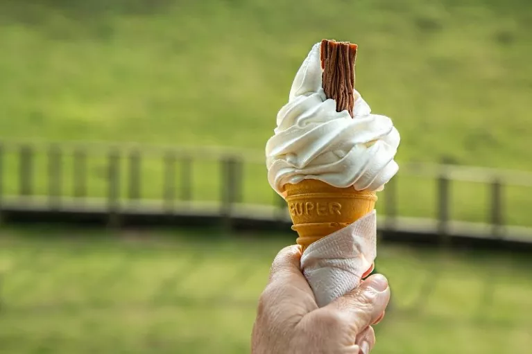 lody miękkie