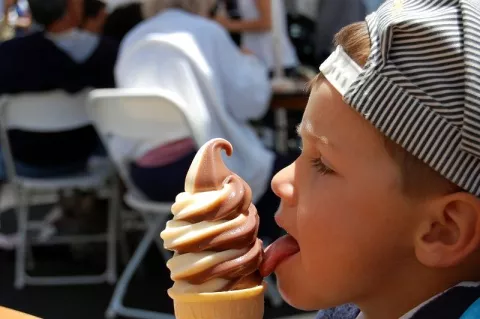 lody soft